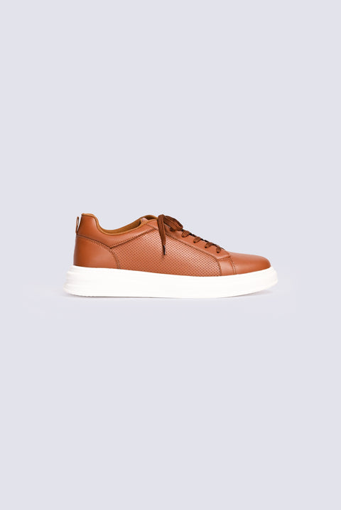 TRAINERS