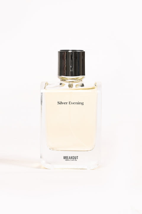 SILVER EVENING
