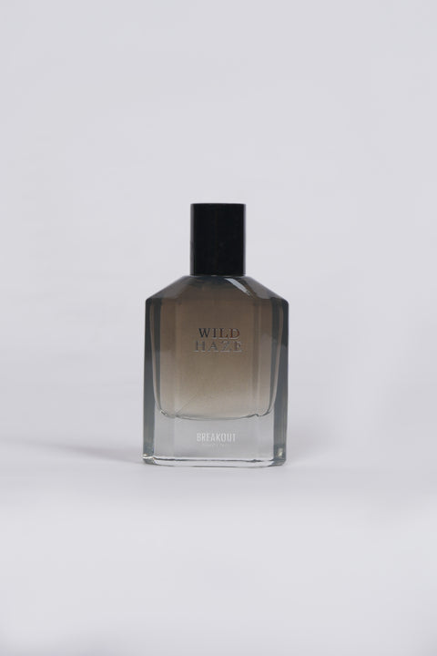 WILD HAZE