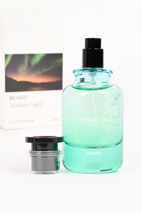 NORTHERN LIGHTS
