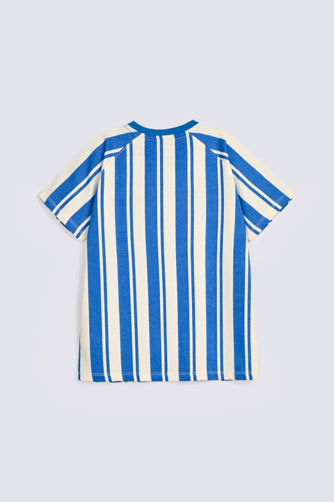 BOYS STRIPED RAGLAN SLEEVE TEE
